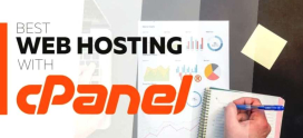Understanding and Using cPanel’s Disk Usage Reports