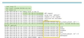 How to Monitor BIND Logs for Enhanced DNS Security in cPanel