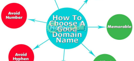 How a Memorable Domain Name Drove Massive Traffic Growth