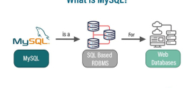 How to Use MySQL/MariaDB with PHP: A Comprehensive Guide