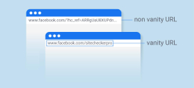 The Role of Vanity Domains in Social Media Marketing