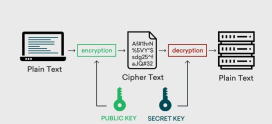 The Role of Encryption in Server Security