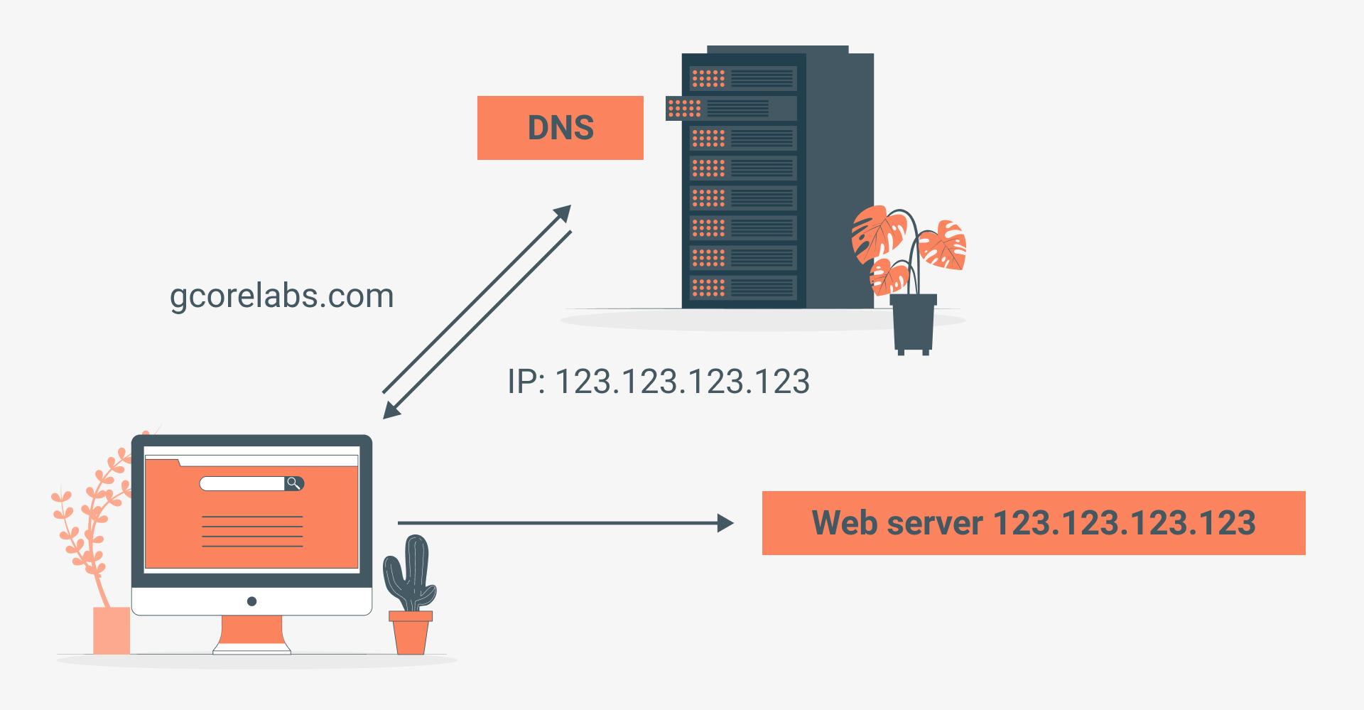 The Role of DNS in Domain Name Functionality