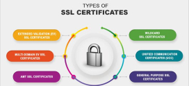 The Role of SSL Certificates in Securing Online Data