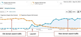 How a Domain Name Rebranding Saved This Business