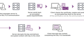 How to Avoid SSL Certificate Expiration Problems