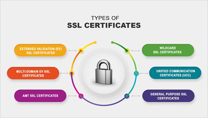Why SSL Certificates Are Essential for API Security