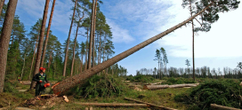 The Importance of Logging and Monitoring for Server Security