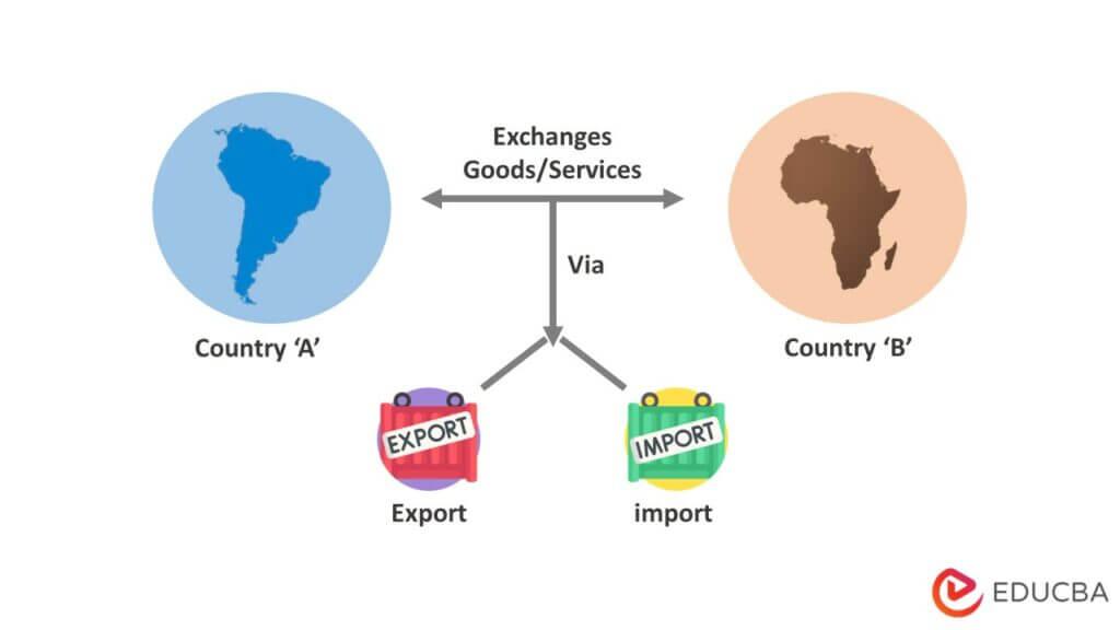 The Role of International CDNs in Global E-commerce Hosting